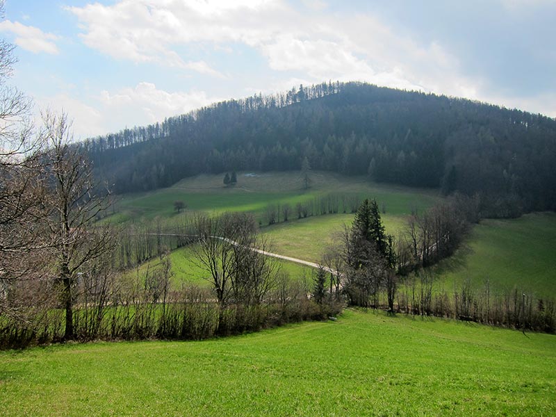 hochwienerwald